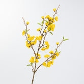 33" PEACH BLOSSOM STEM