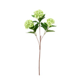 23.5" SNOWBALL VIBURNUM SPRAY X 3