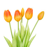 15.5" SOFT TOUCH TULIP BUNDLE X 5