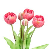 15" SOFT TOUCH DOUBLE LAYER TULIP BUNDLE X 5