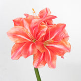 16.5" AMARYLLIS STEM