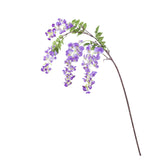 36" WISTERIA SPRAY