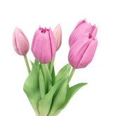 12.5" SOFT TOUCH TULIP BUNDLE X 5