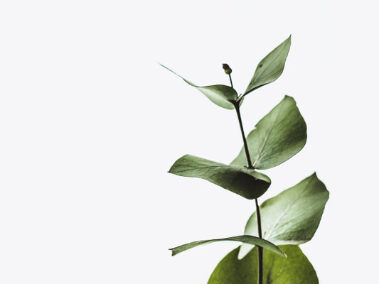 Forever in Bloom: A Timeless Artificial Floral Arrangement