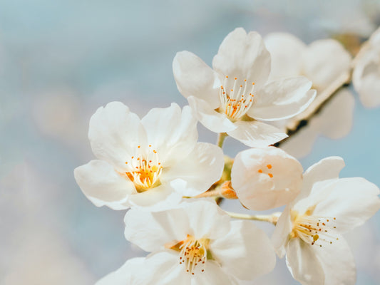 Eternal Bouquet: A Timeless Piece of Artificial Floral Art
