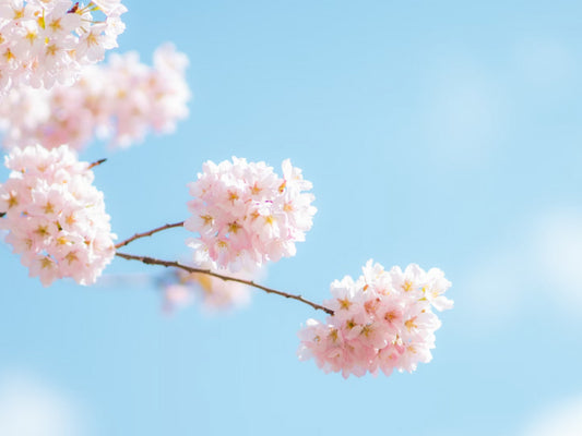 Bringing the Outdoors In: A Beautiful Floral Display with Artificial Flowers