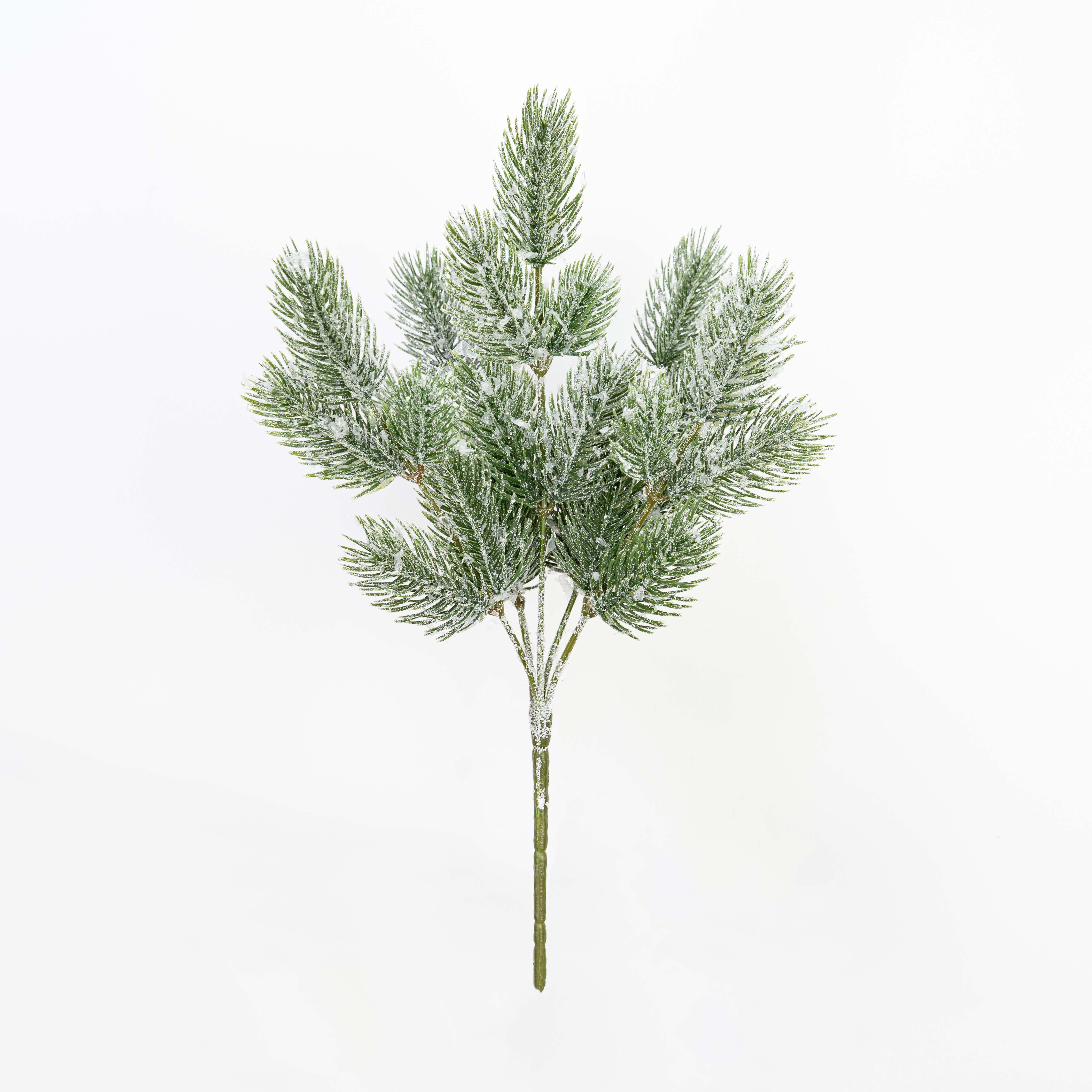 12" SNOW PINE BUSH X 5