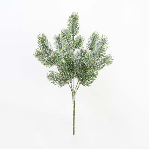 12" SNOW PINE BUSH X 5