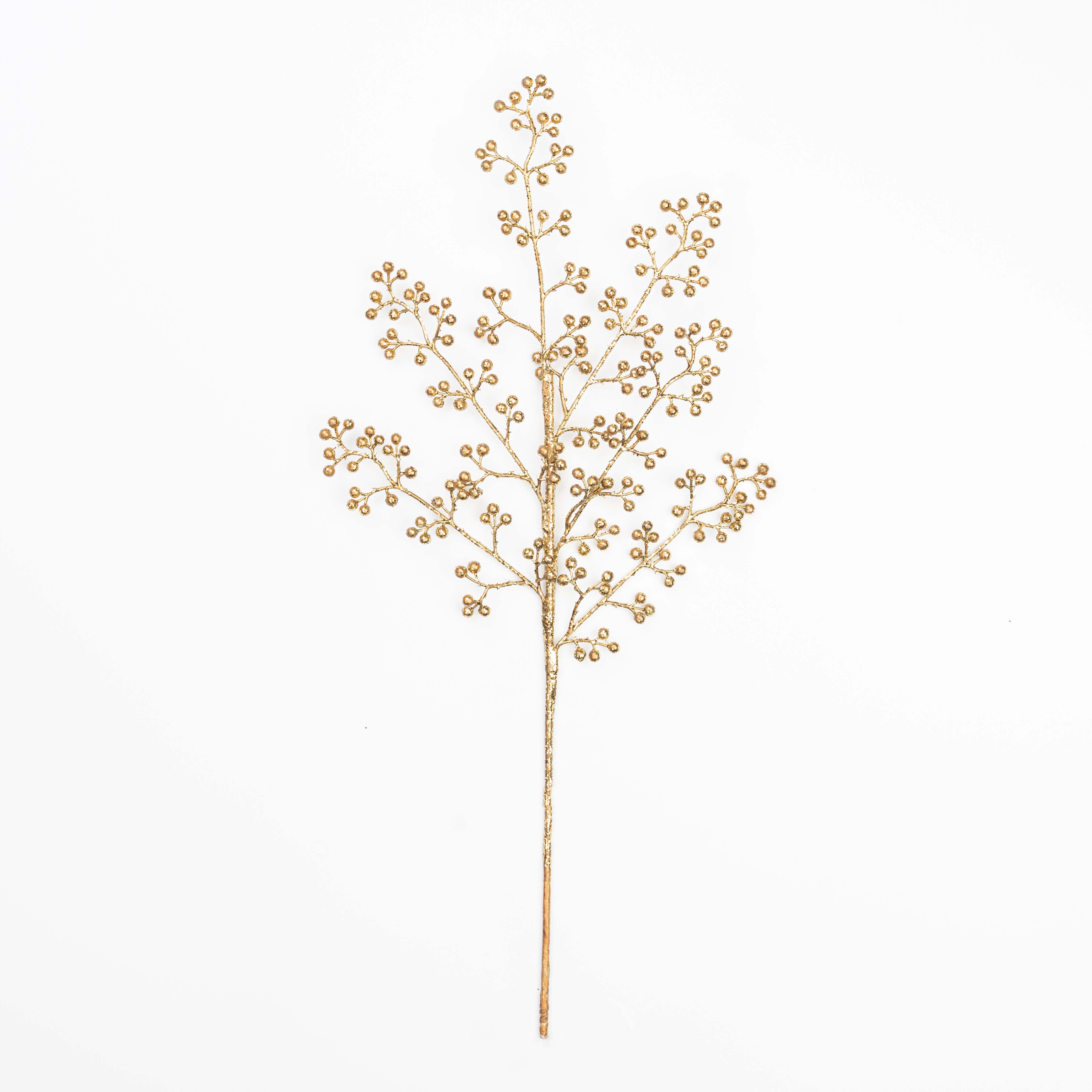 20" BERRY SEED SPRAY X 6