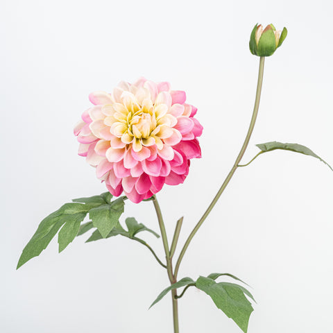 24" DAHLIA SPRAY