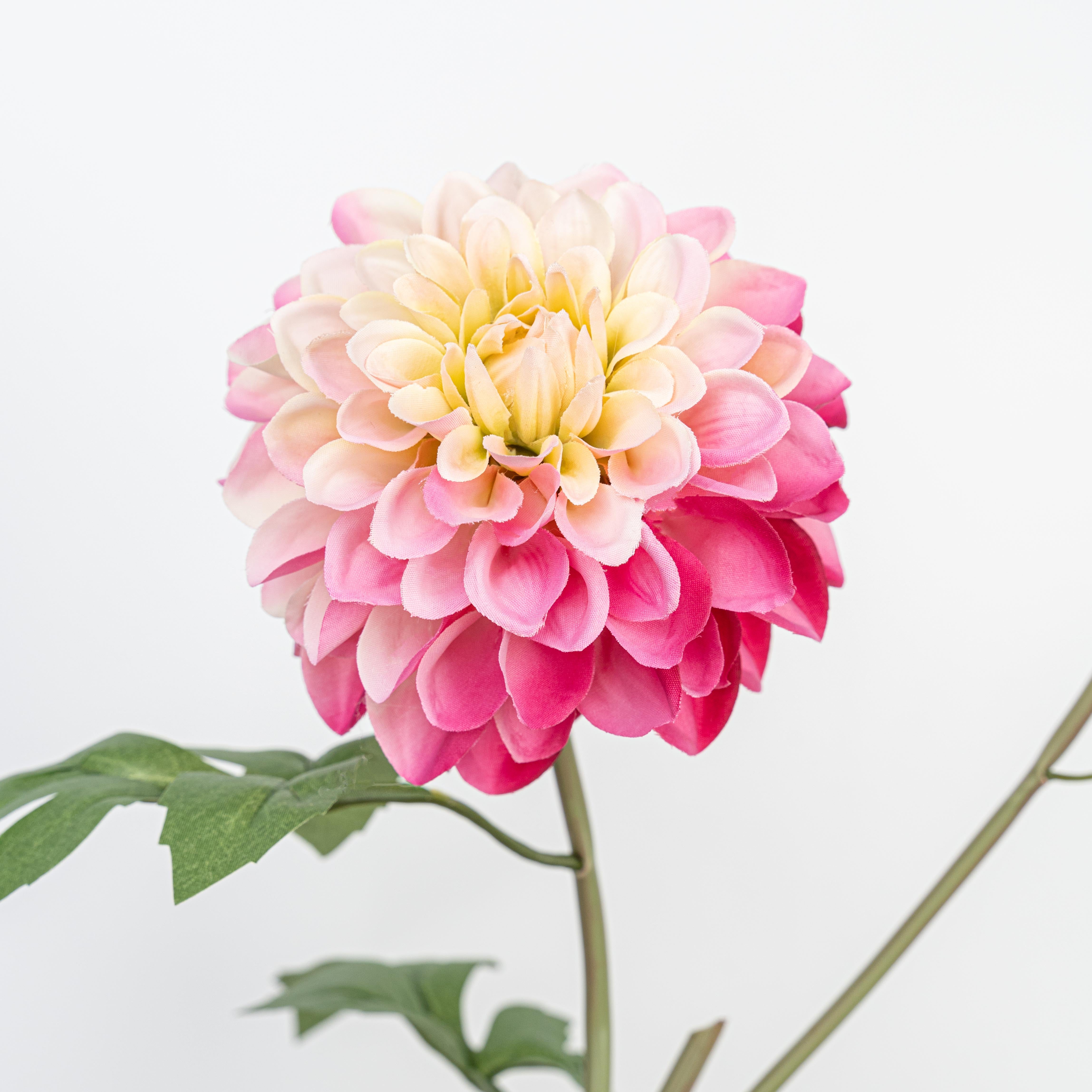 24" DAHLIA SPRAY