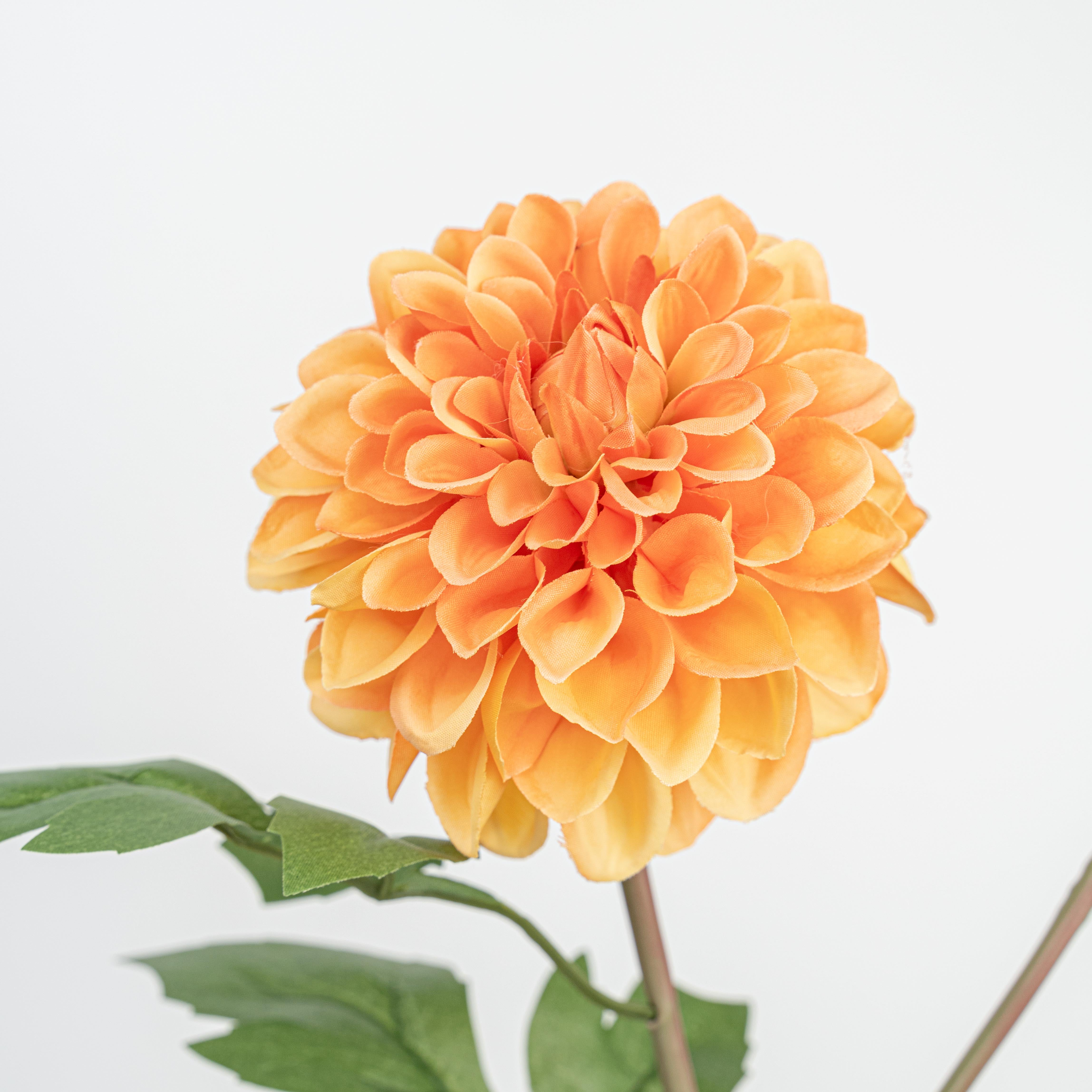24" DAHLIA SPRAY