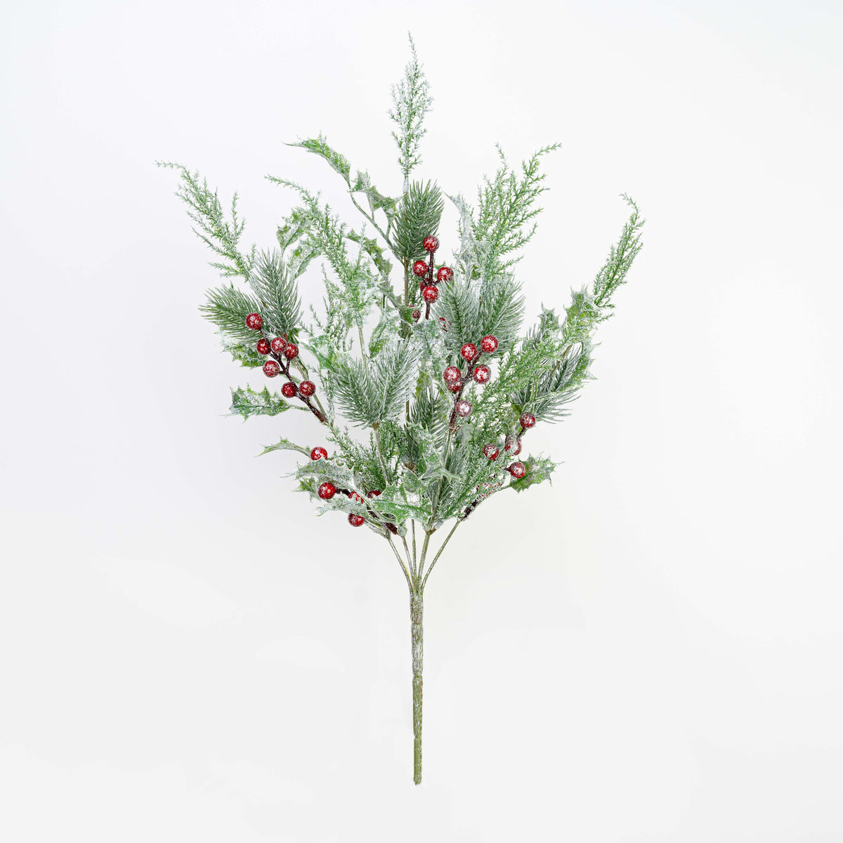 20" SNOW PINE CEDAR HOLLY BERRY BUSH X 6
