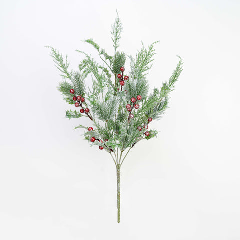 20" SNOW PINE CEDAR HOLLY BERRY BUSH X 6