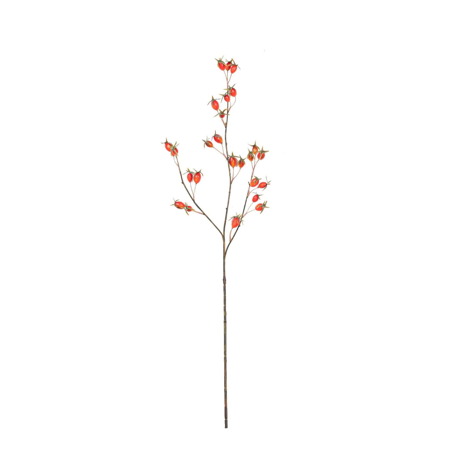 28" ROSE HIP SPRAY