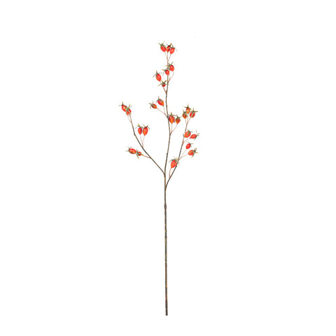 28" ROSE HIP SPRAY