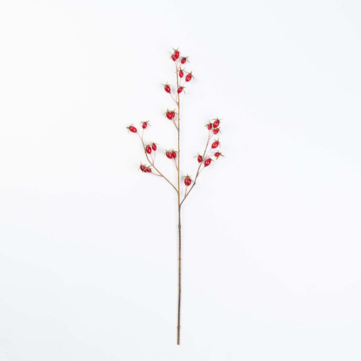28" ROSE HIP SPRAY