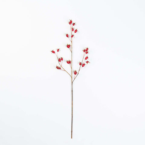 28" ROSE HIP SPRAY