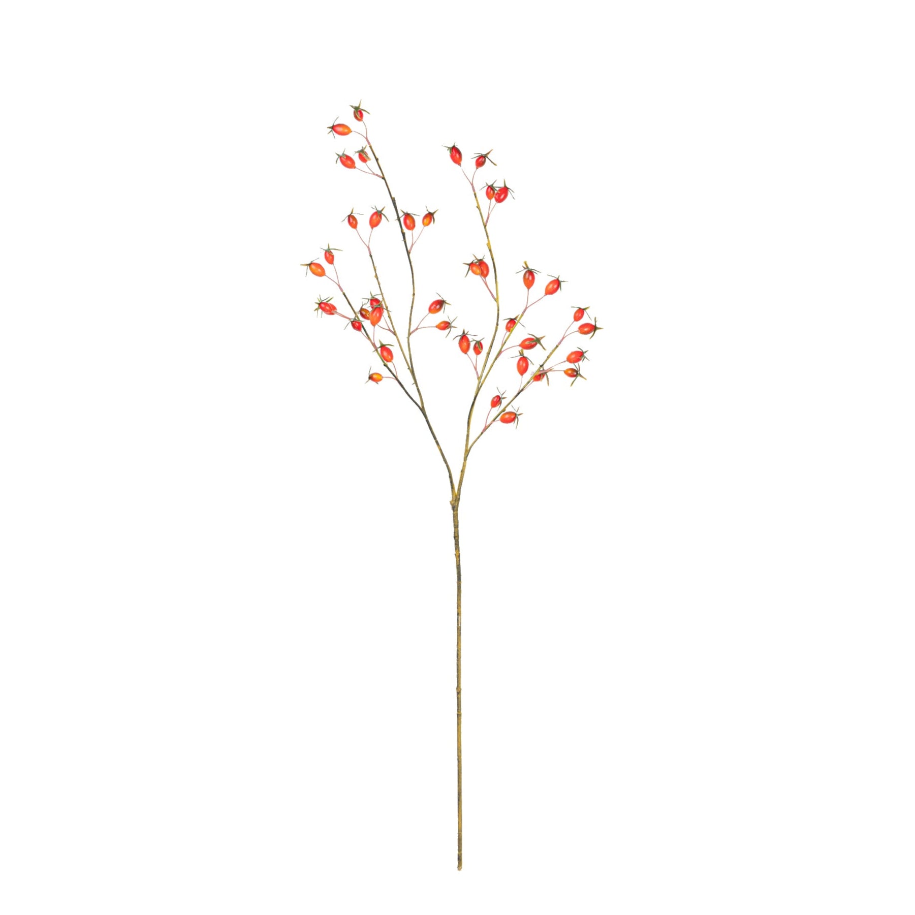 37" ROSE HIP SPRAY