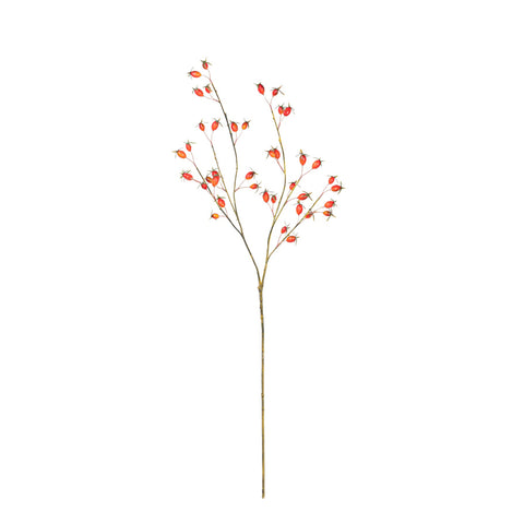 37" ROSE HIP SPRAY