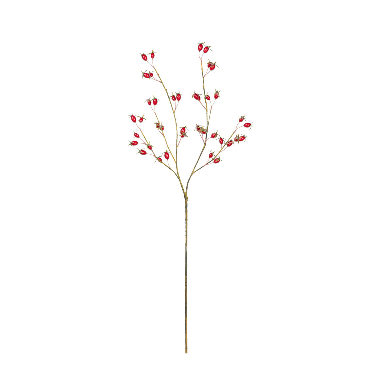 37" ROSE HIP SPRAY