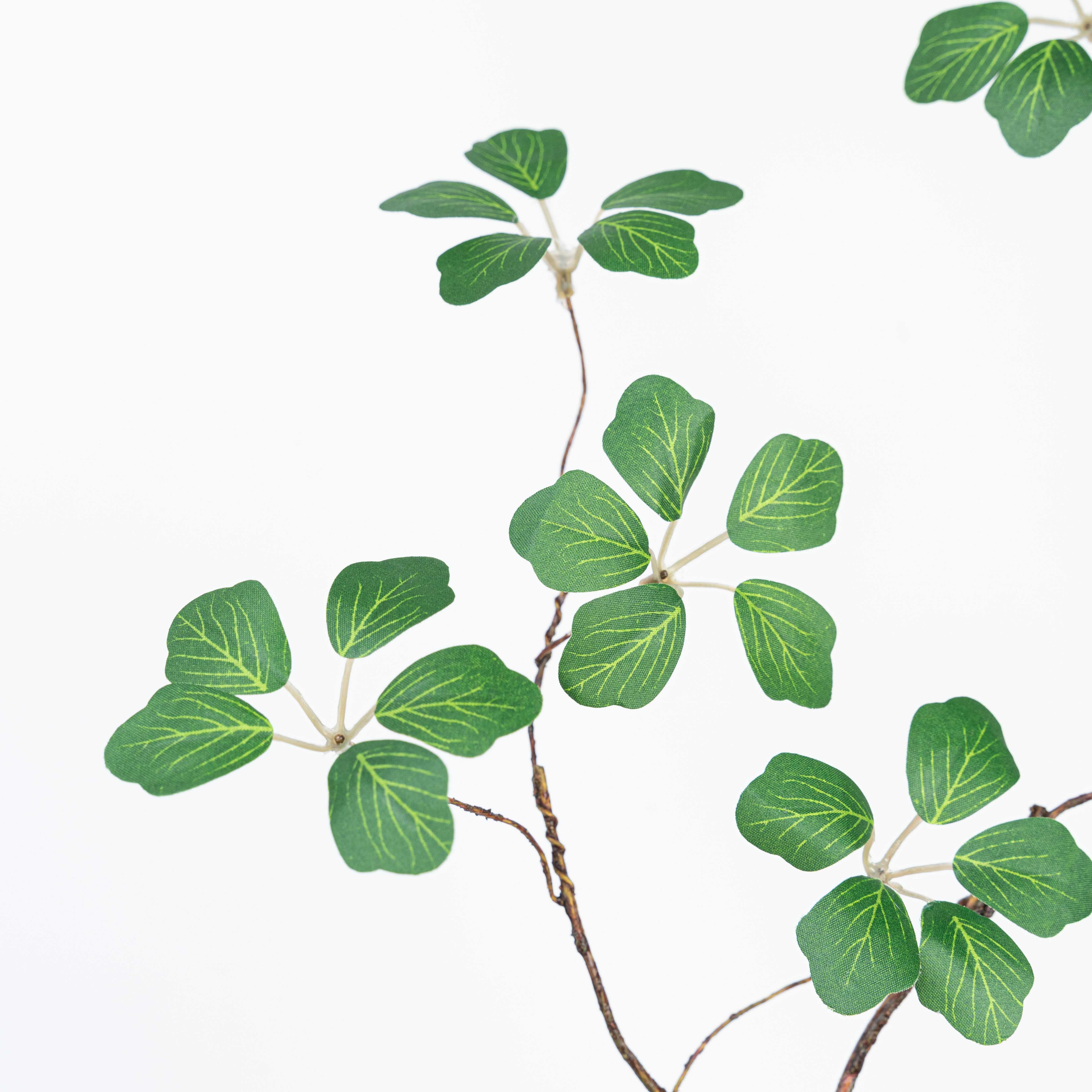 35" ALOCASIA LEAF BRANCH