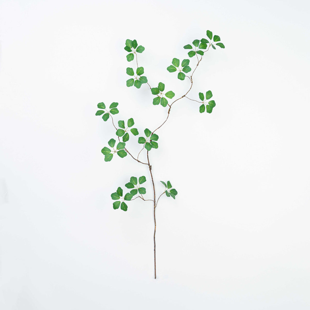 35" ALOCASIA LEAF BRANCH