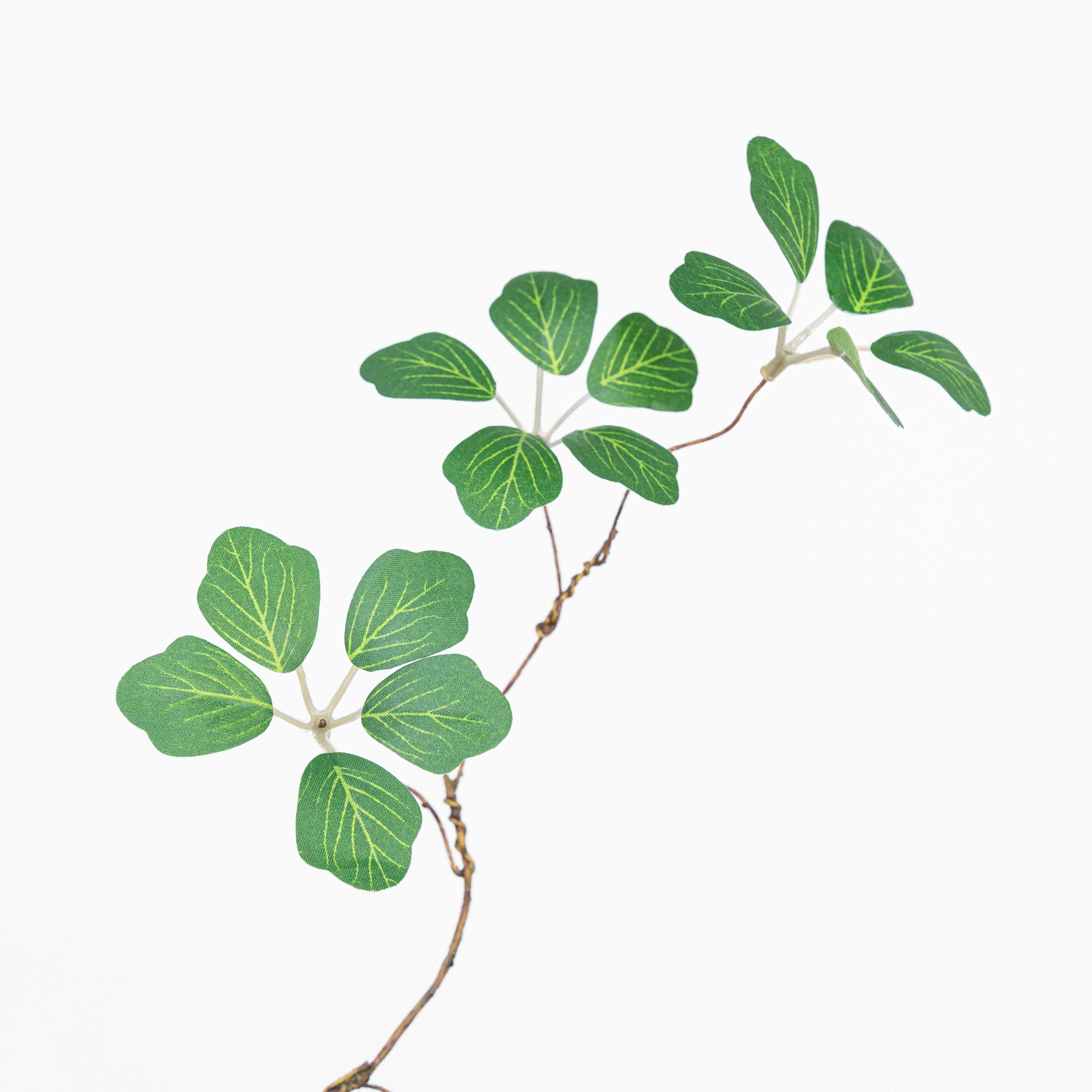 35" ALOCASIA LEAF BRANCH