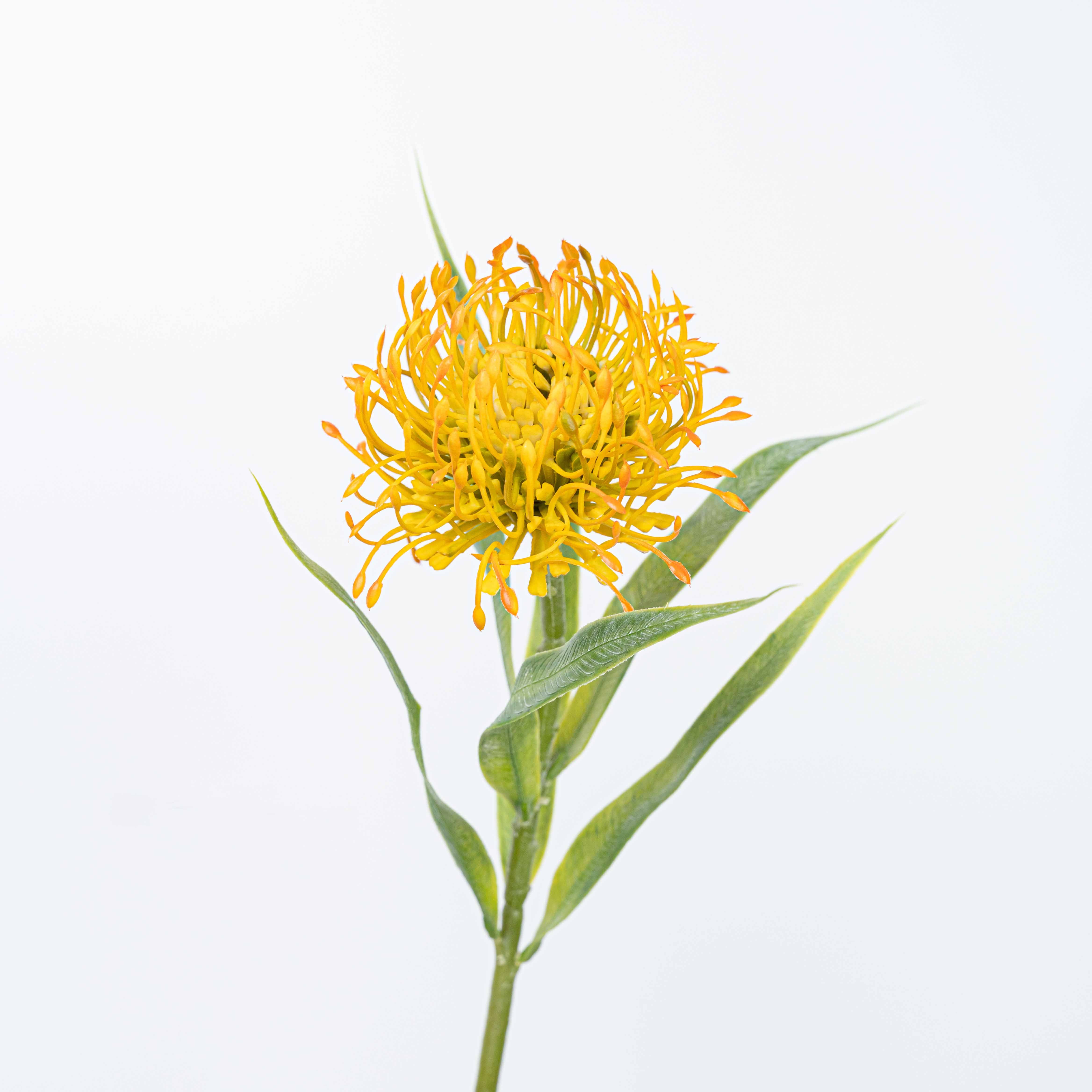 20" PIN CUSHION STEM