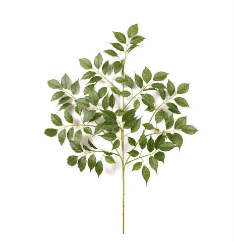 28" RADERMACHERA LEAF SPRAY