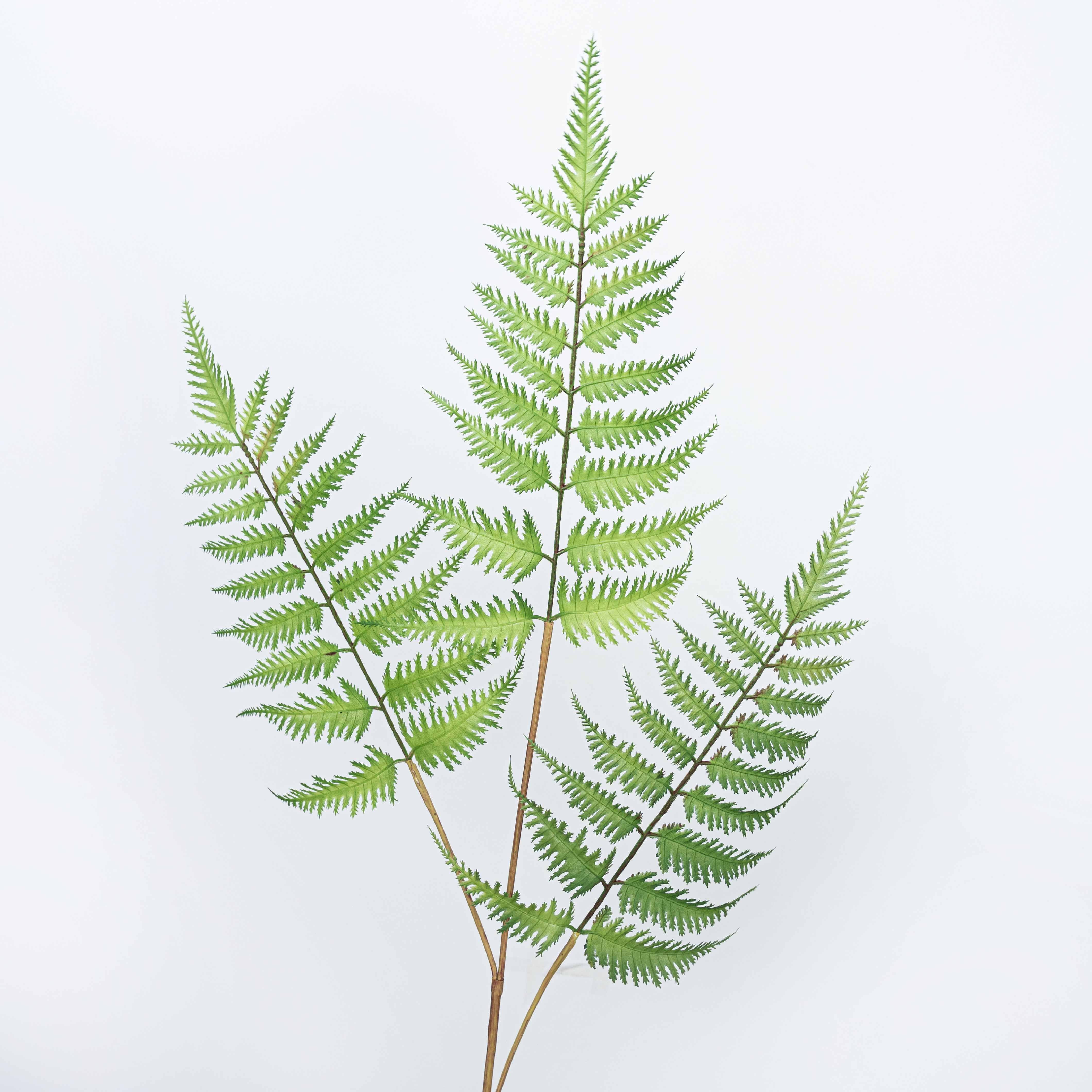 33" FERN SPRAY