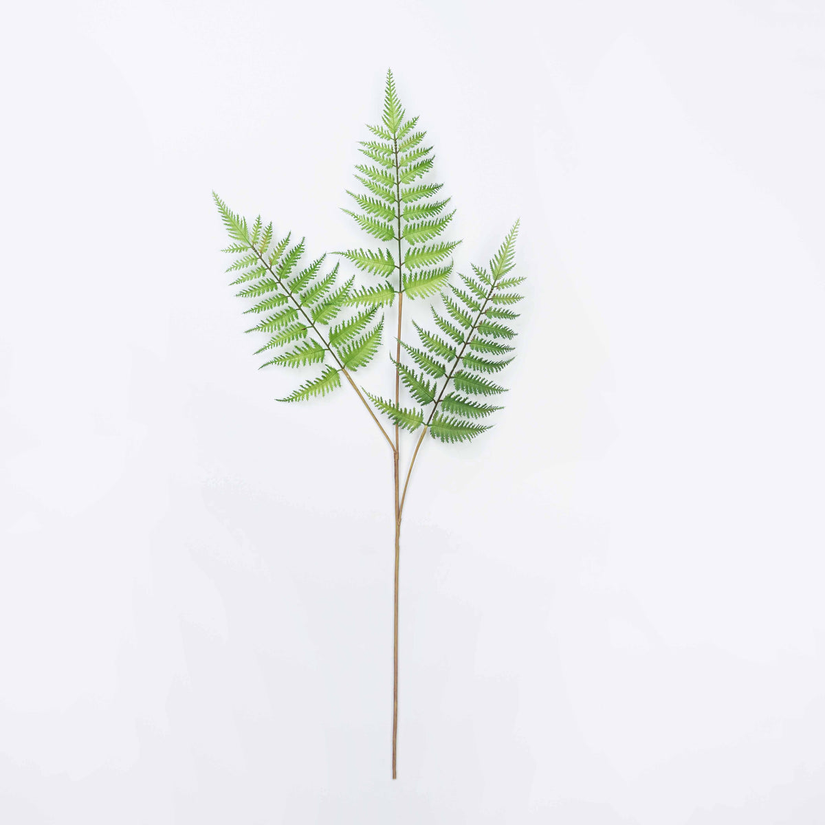 33" FERN SPRAY