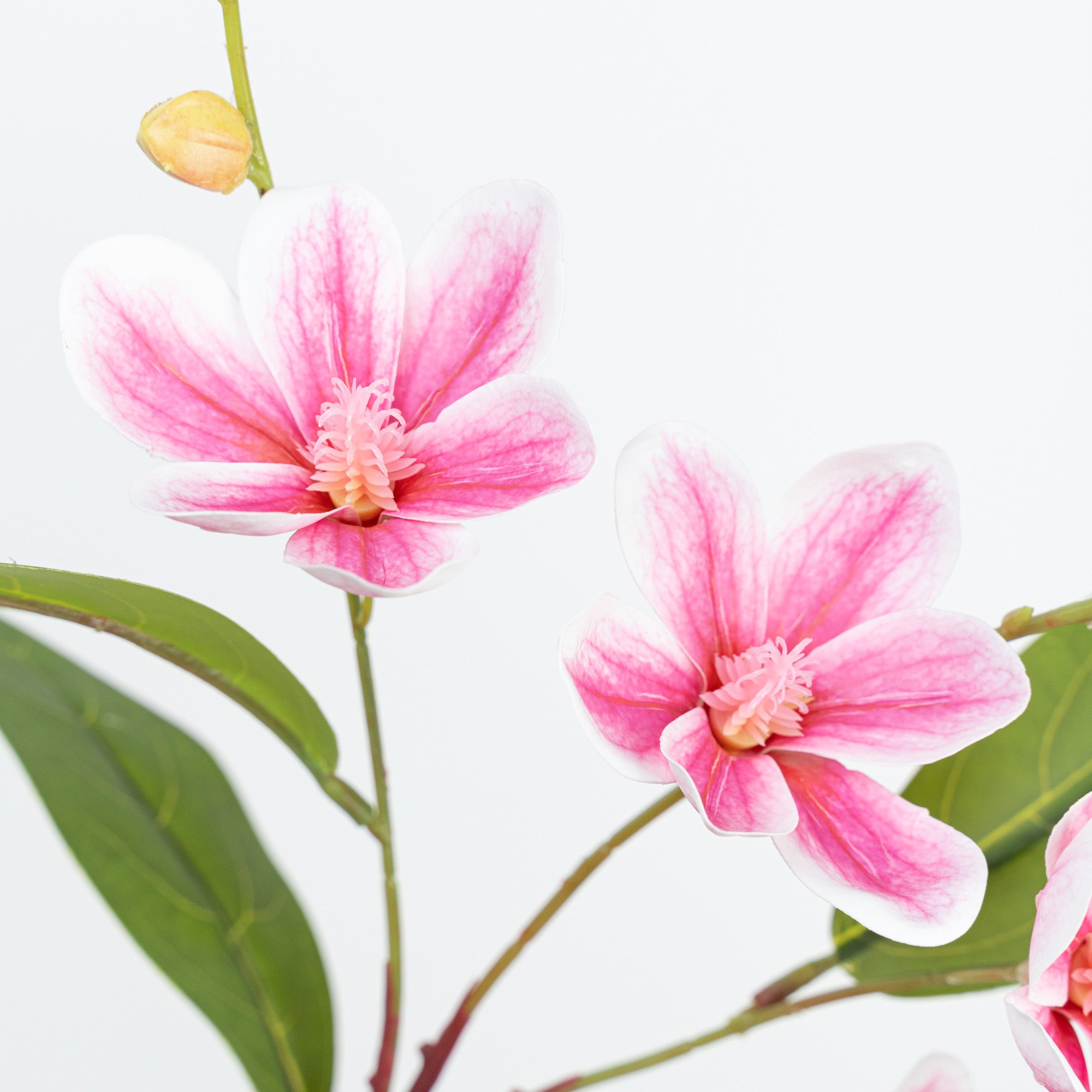 35" MINI MAGNOLIA SPRAY