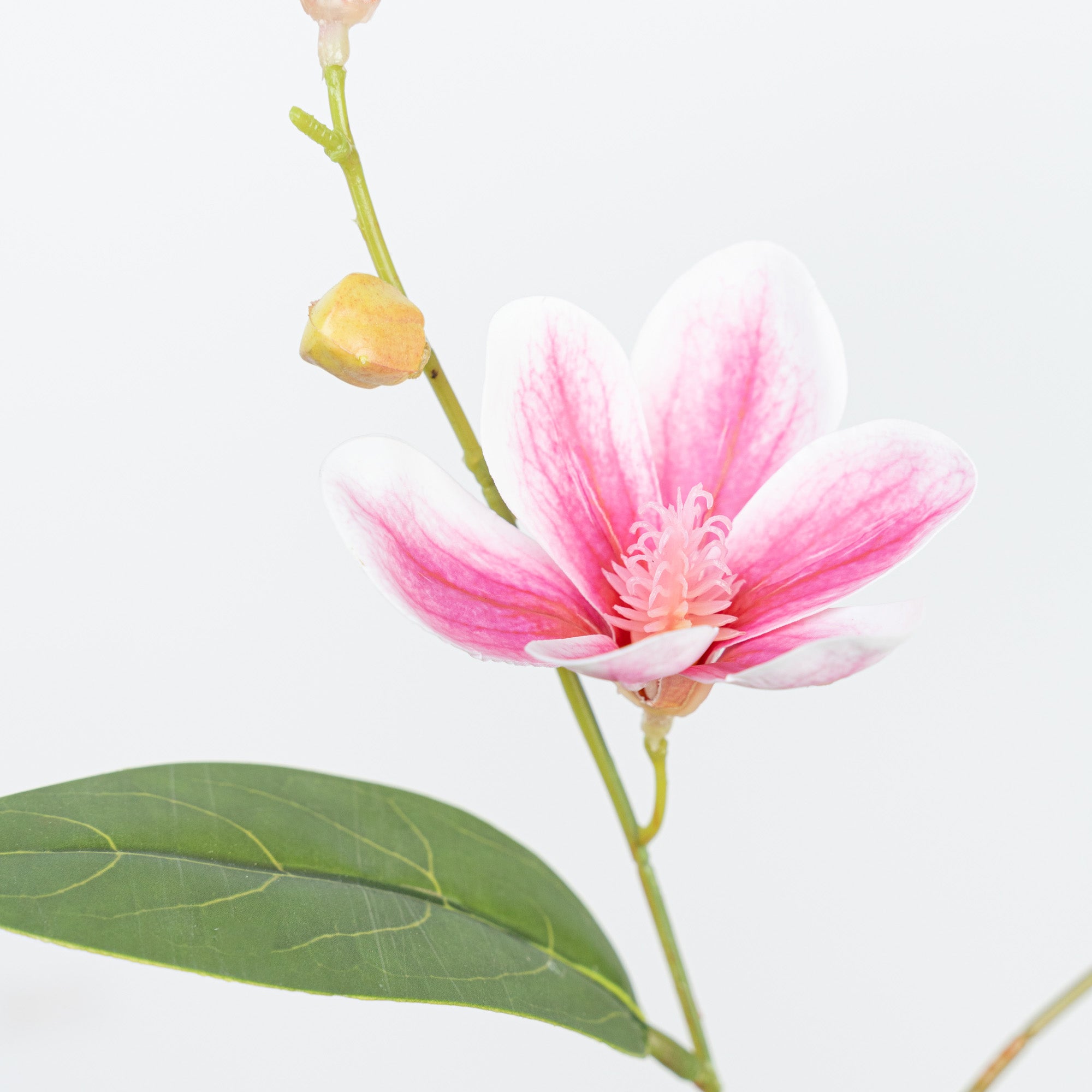 35" MINI MAGNOLIA SPRAY