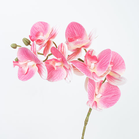 28" REAL TOUCH PHALAENOPSIS SPRAY