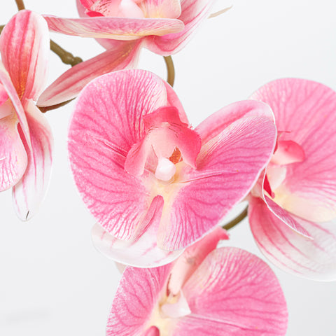 28" REAL TOUCH PHALAENOPSIS SPRAY