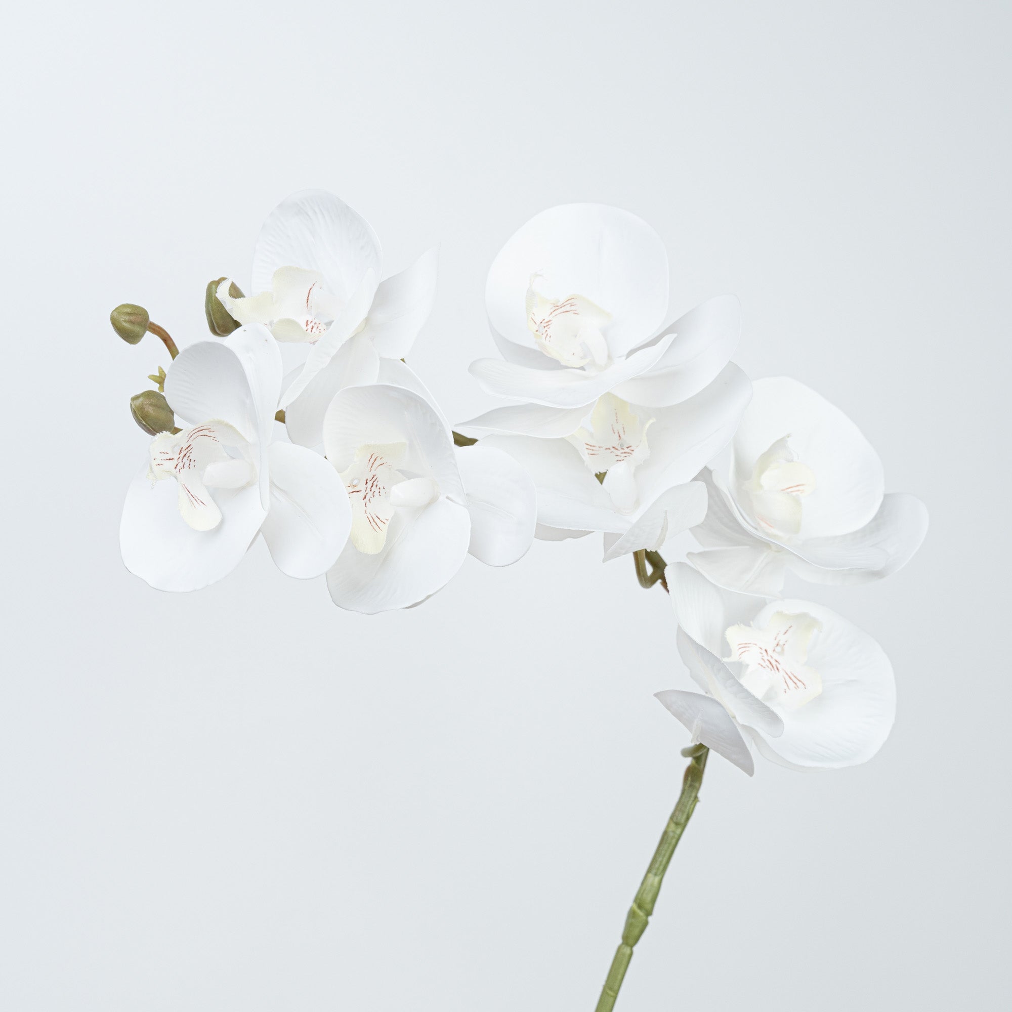 28" REAL TOUCH PHALAENOPSIS SPRAY