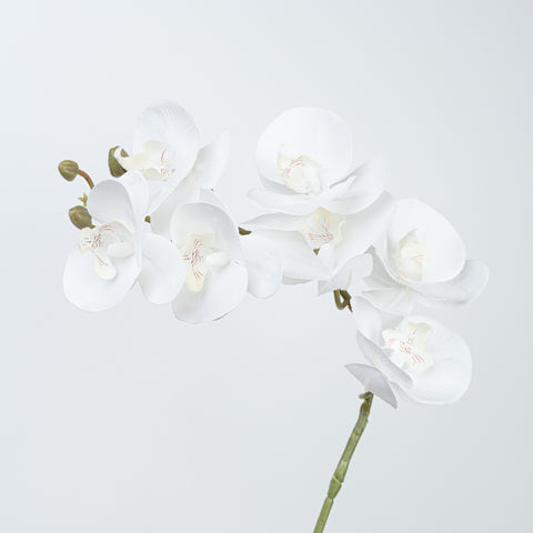 28" REAL TOUCH PHALAENOPSIS SPRAY