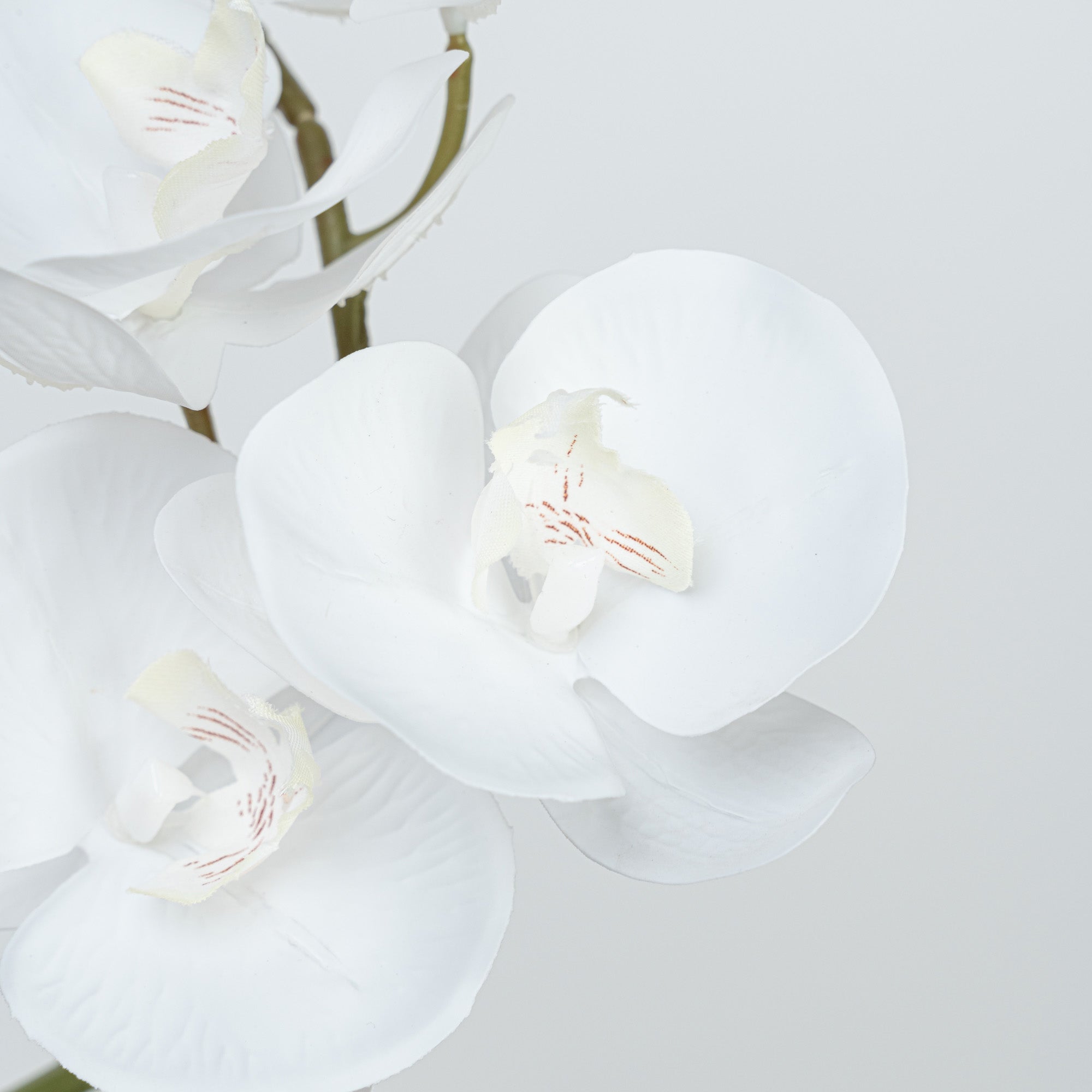 28" REAL TOUCH PHALAENOPSIS SPRAY