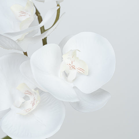 28" REAL TOUCH PHALAENOPSIS SPRAY