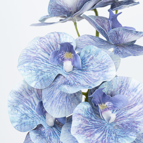35" PHALAENOPSIS SPRAY