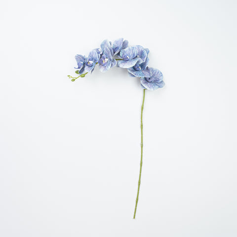 35" PHALAENOPSIS SPRAY