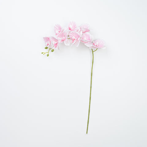 35" PHALAENOPSIS SPRAY