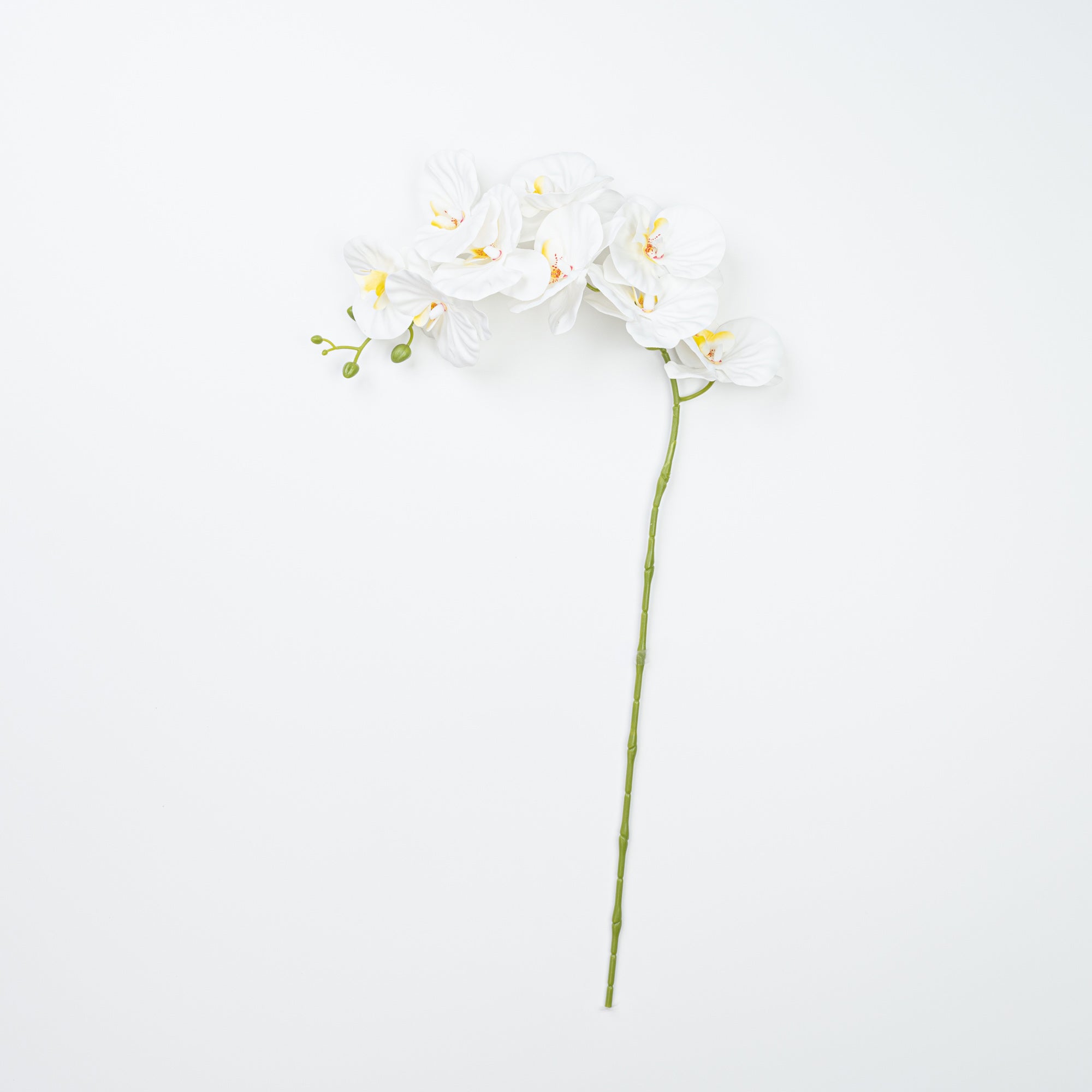 35" PHALAENOPSIS SPRAY