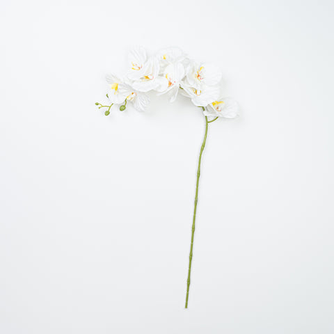 35" PHALAENOPSIS SPRAY