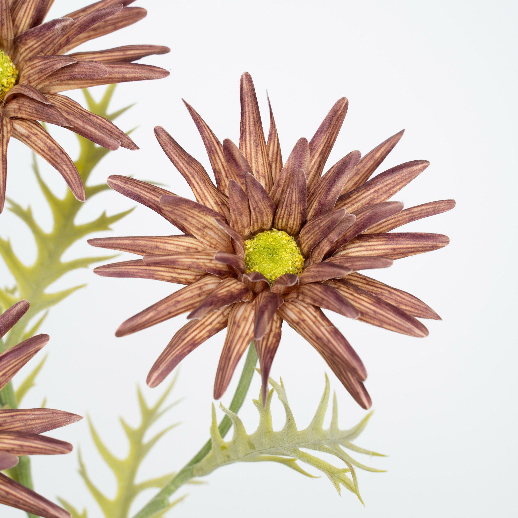 29" GERBERA SPRAY