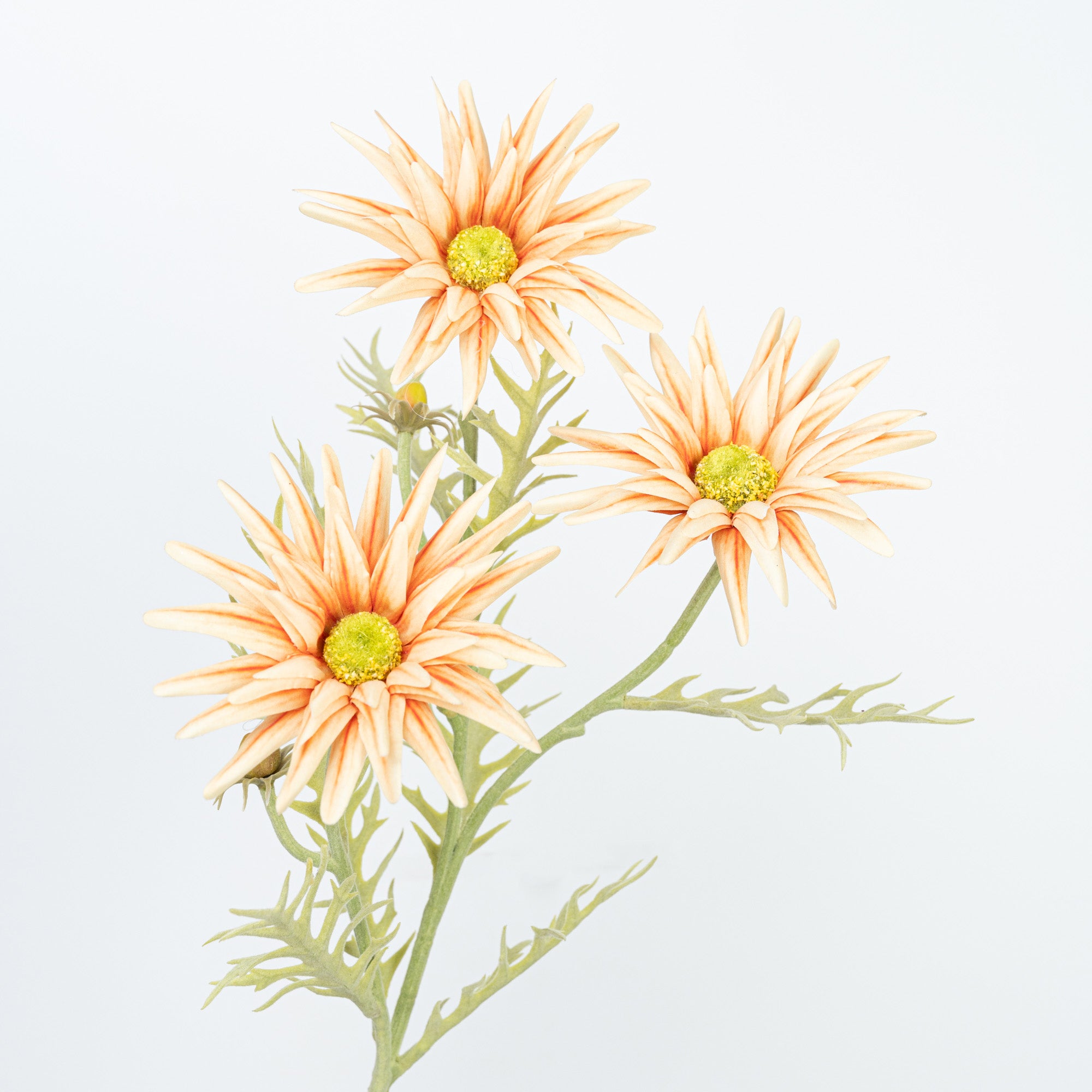 29" GERBERA SPRAY