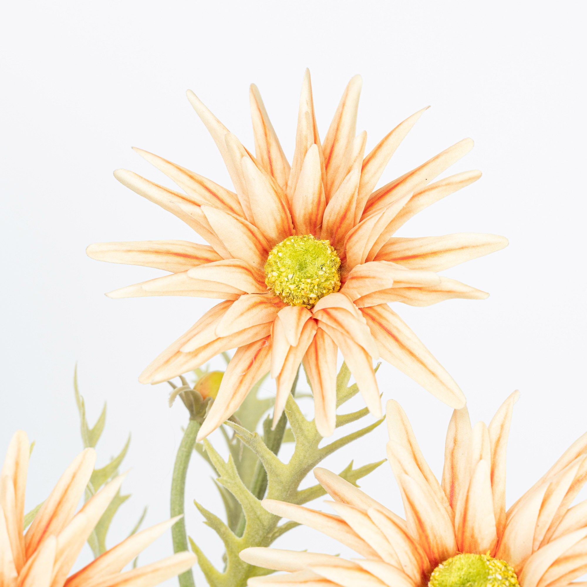 29" GERBERA SPRAY