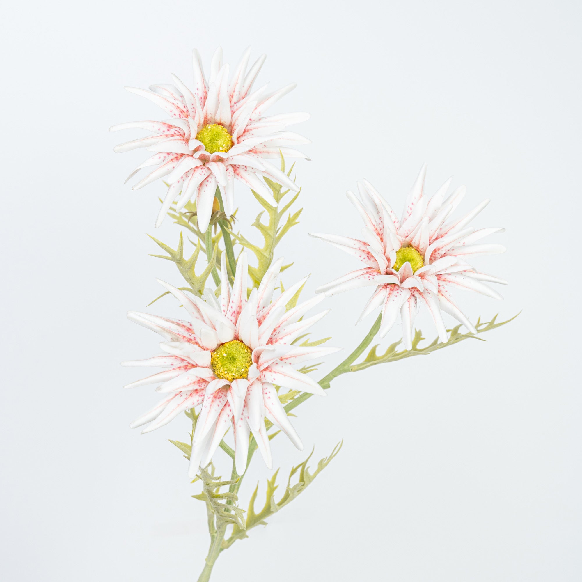 29" GERBERA SPRAY