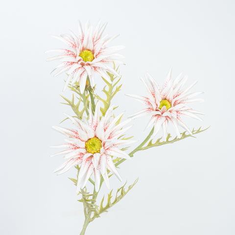29" GERBERA SPRAY